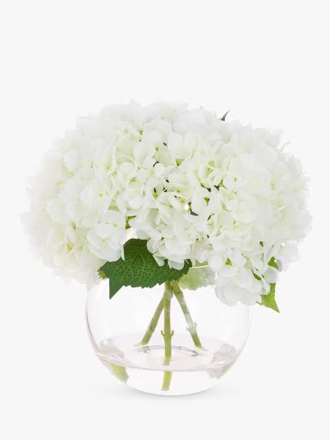 White Hydrangea in Globe Vase