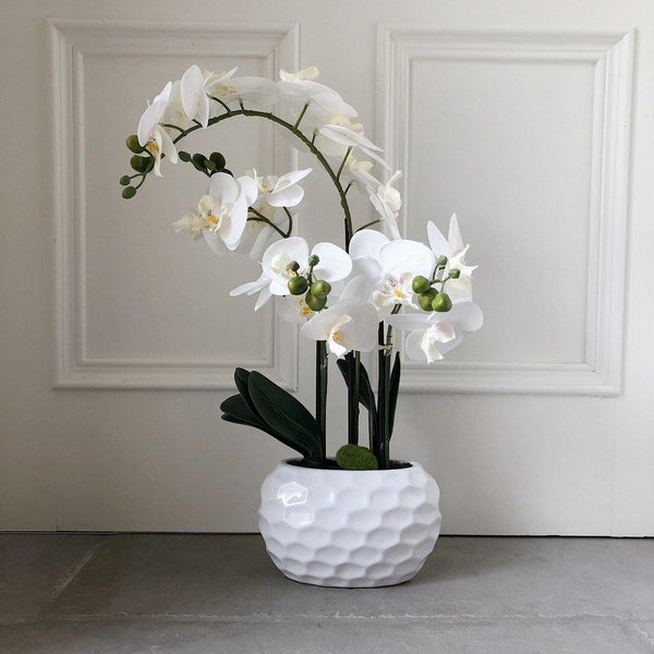 White Orchid in a Dimpled White Pot