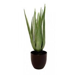 24" NATURAL TOUCH ALOE PLANT 16LVS