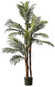 Artificial Kenya Palm 152cm (5ft), Green