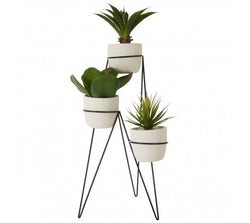 Set Of 3 Succulents With Metal Stand