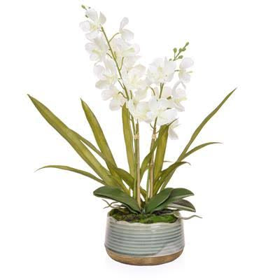 Potted Artificial Vanda Orchids