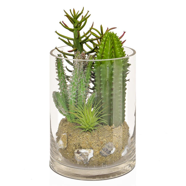 TROPICAL CACTUS MIX IN GLASS VASE